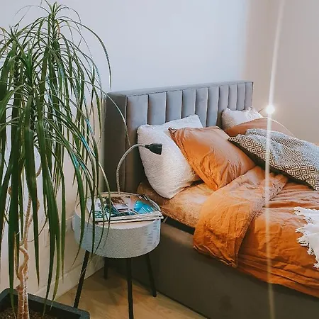 Apartmán Priestranny V Centre